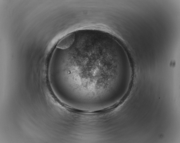 X0000112061506200908041202