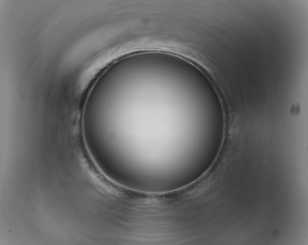 X0000112061507200908041202