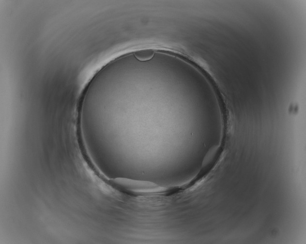 X0000112061508200908041202