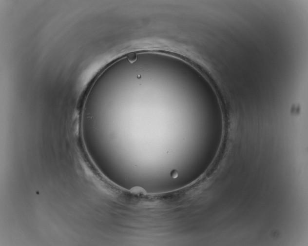 X0000112061509200908041202