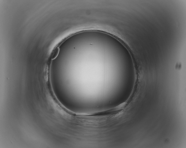 X0000112061510200908041202