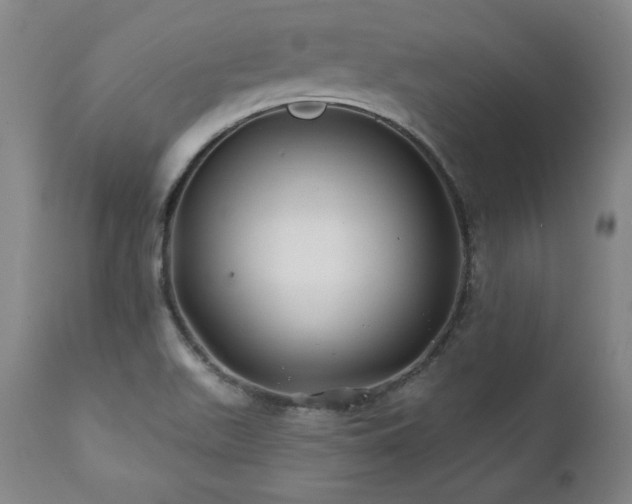 X0000112061511200908041202