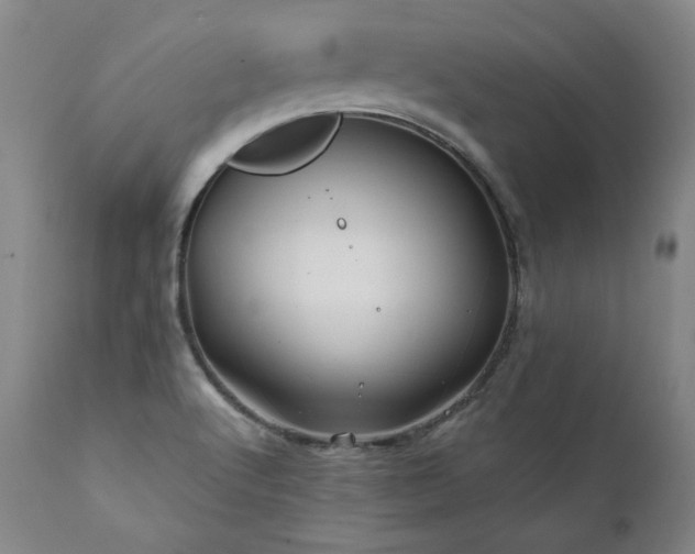 X0000112061512200908041202