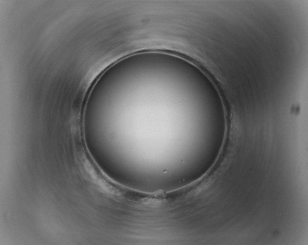 X0000112061513200908041202