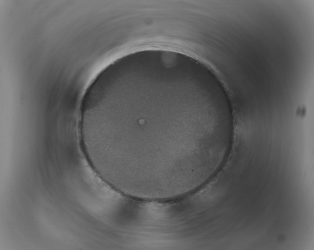 X0000112061514200908041202