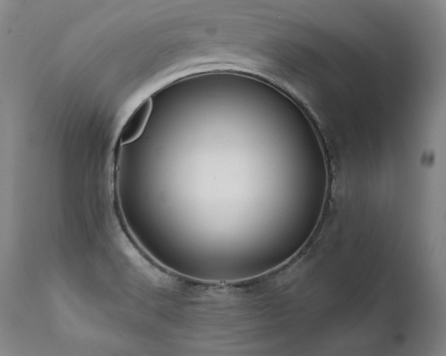 X0000112061516200908041202