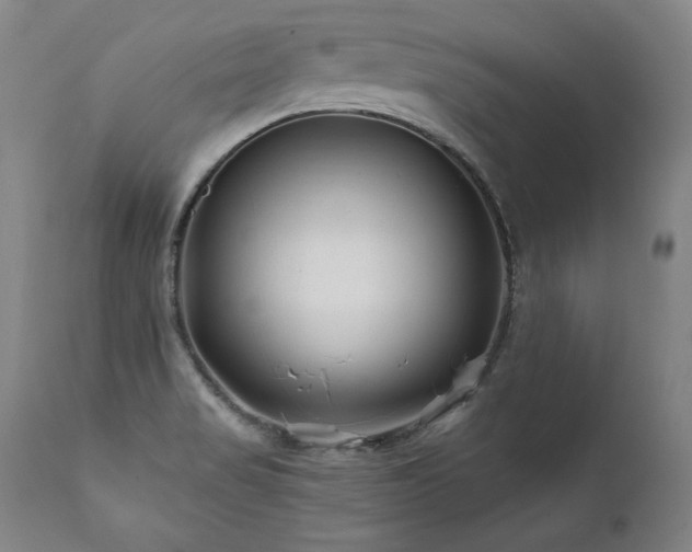 X0000112061517200908041202