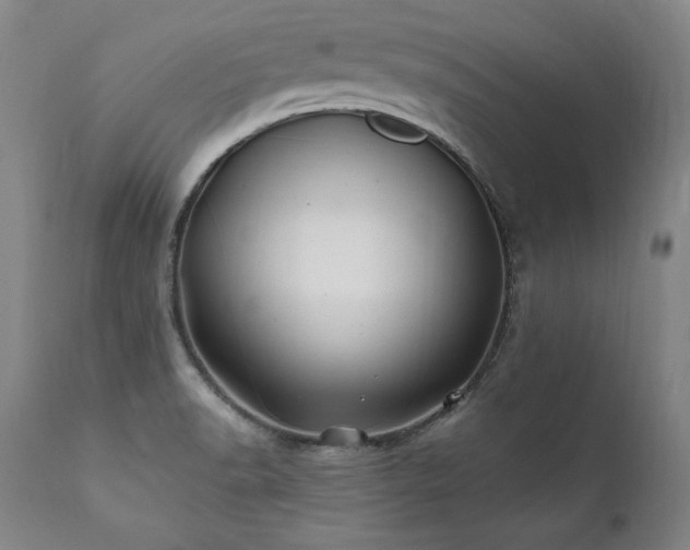 X0000112061518200908041202