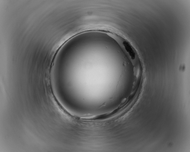 X0000112061521200908041202