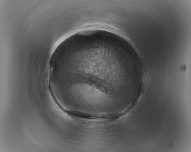 X0000112061522200908041202