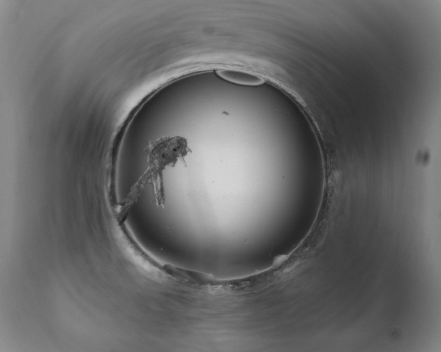 X0000112061523200908041202