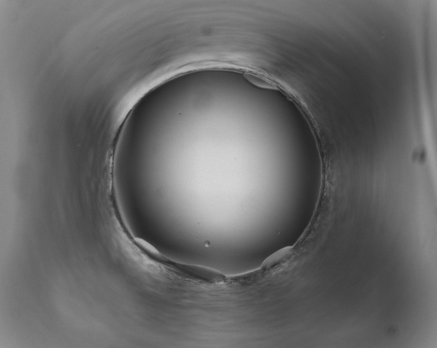 X0000112061524200908041202