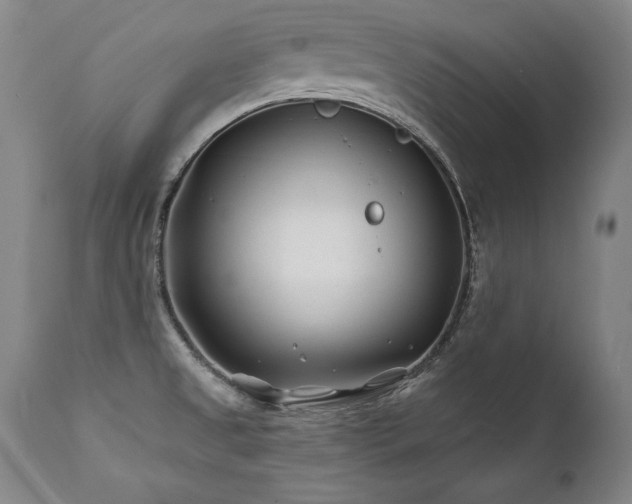 X0000112061525200908041202