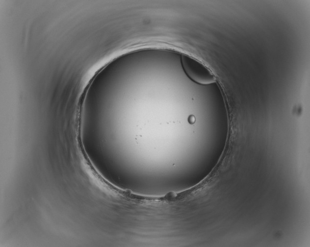 X0000112061526200908041202