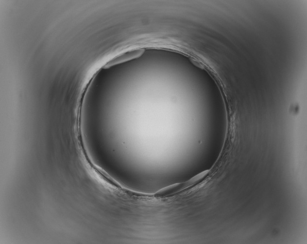 X0000112061528200908041202