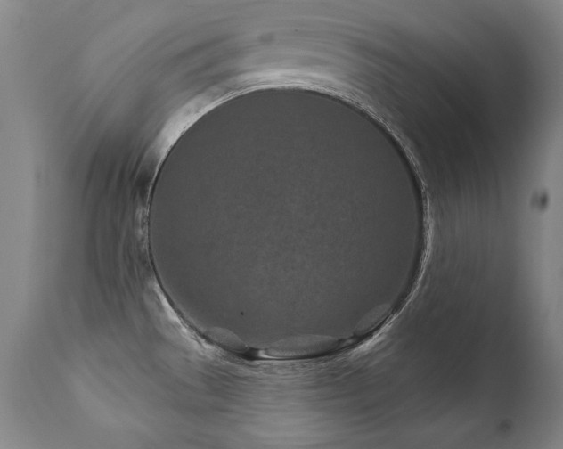 X0000112061529200908041202