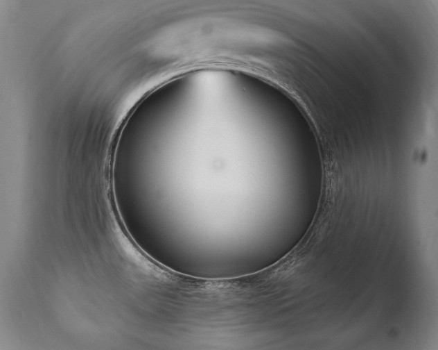 X0000112061531200908041202
