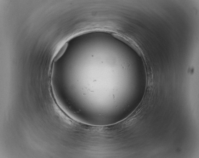 X0000112061532200908041202