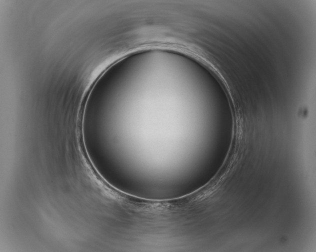 X0000112061533200908041202