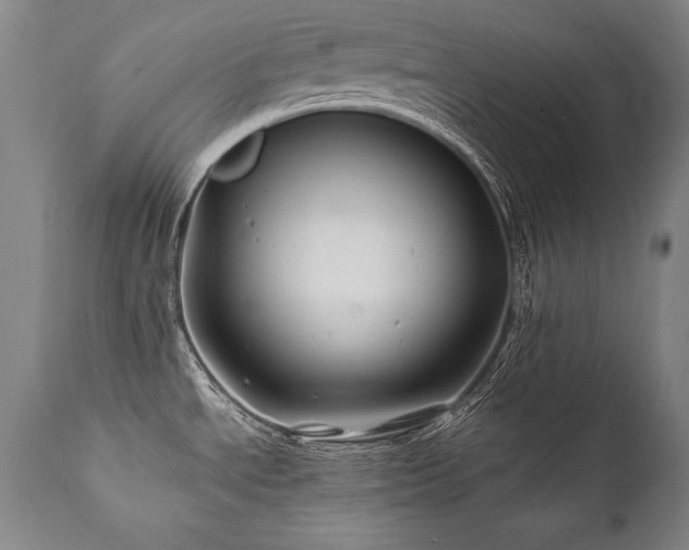 X0000112061534200908041202