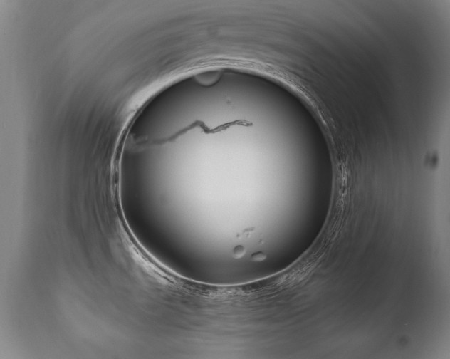 X0000112061535200908041202