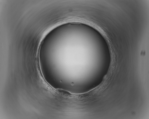 X0000112061536200908041203