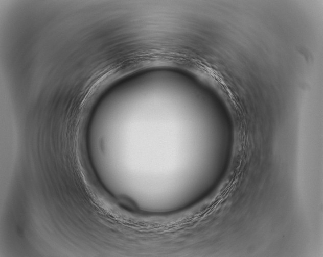 X0000112060001200908111421