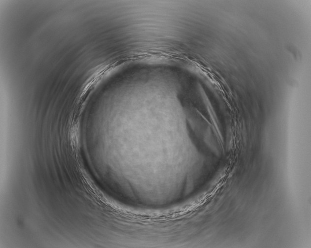 X0000112060002200908111421