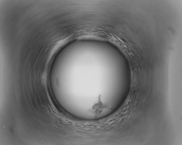 X0000112060003200908111421