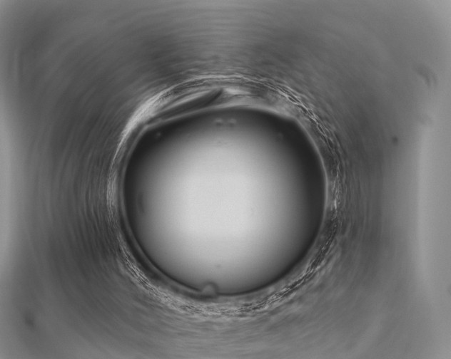 X0000112060004200908111421