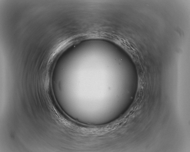 X0000112060005200908111421