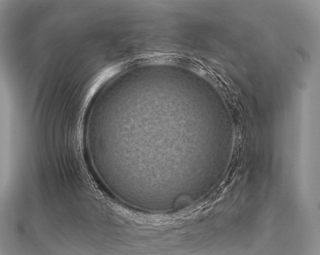 X0000112060006200908111421