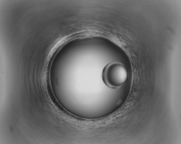 X0000112060007200908111421