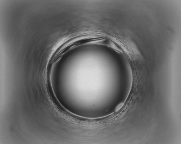 X0000112060008200908111421