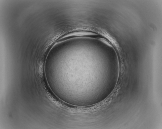 X0000112060009200908111421