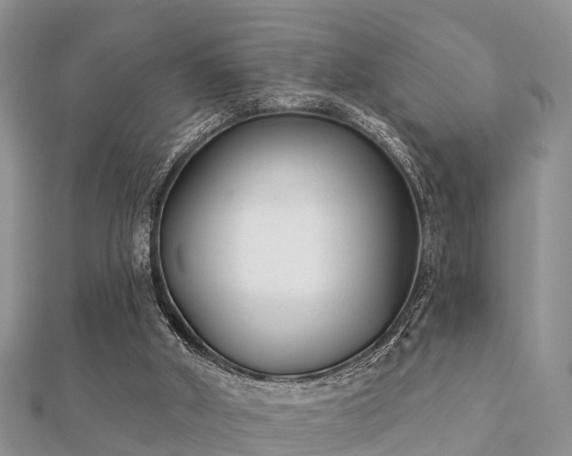 X0000112060010200908111421