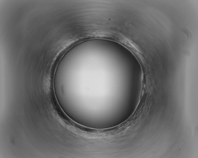 X0000112060012200908111421