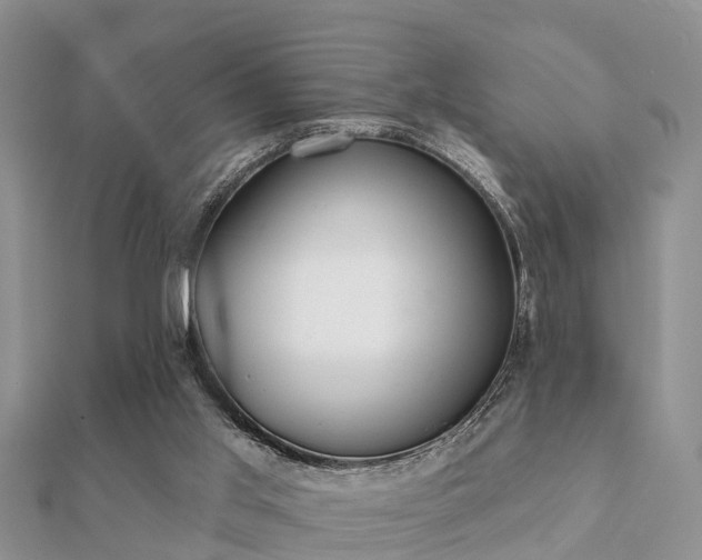 X0000112060013200908111421