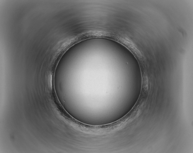 X0000112060014200908111421