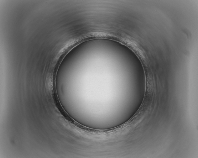 X0000112060015200908111421