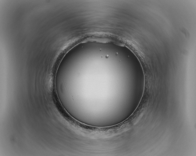 X0000112060016200908111421