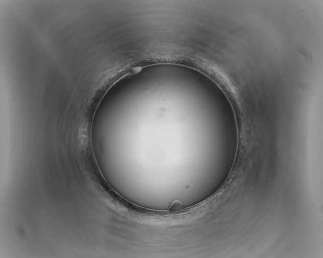 X0000112060017200908111421