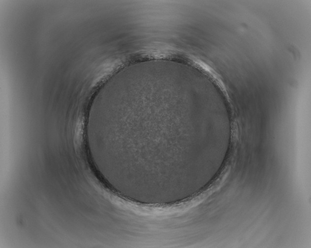 X0000112060018200908111421