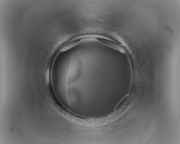 X0000112060019200908111421