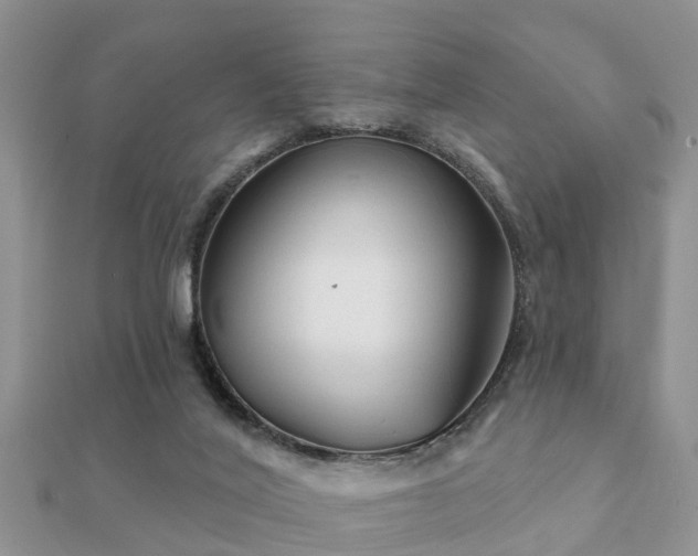 X0000112060020200908111421