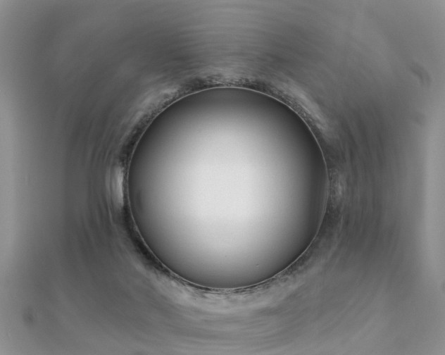 X0000112060022200908111421