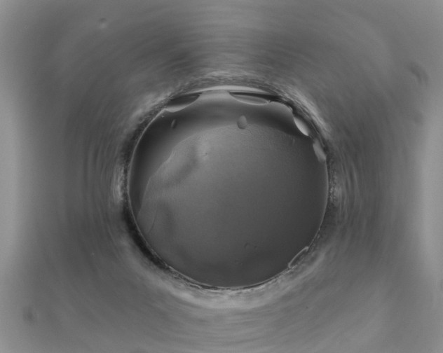 X0000112060023200908111421