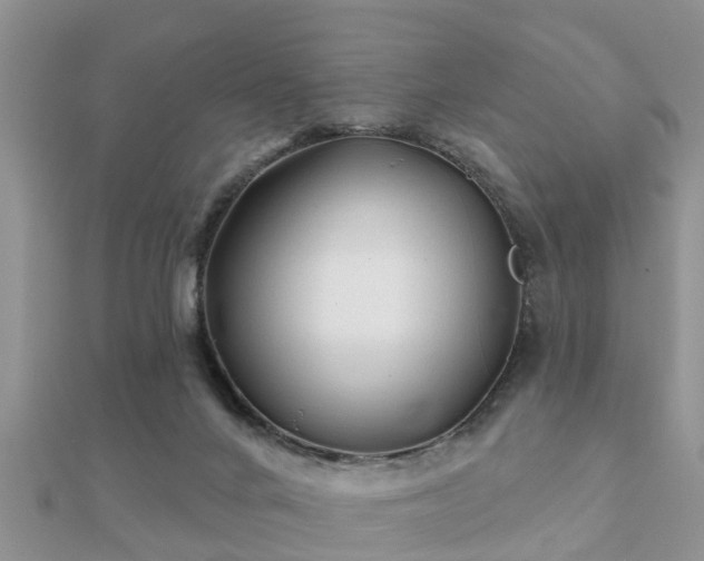 X0000112060024200908111421