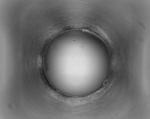 X0000112060025200908111421