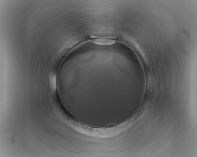 X0000112060027200908111421